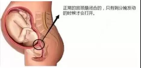 微信图片_20190717084745.jpg 微信图片_20190717084745.jpg