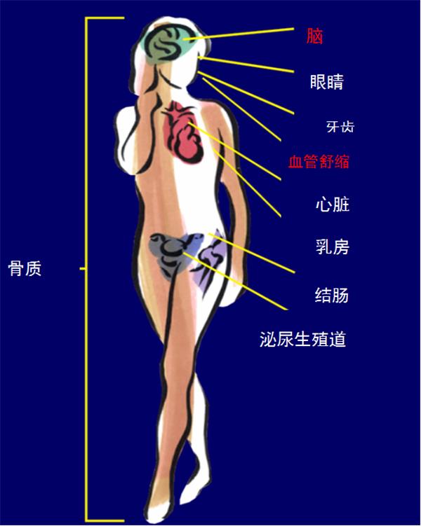 图片5_副本.png 图片5_副本.png