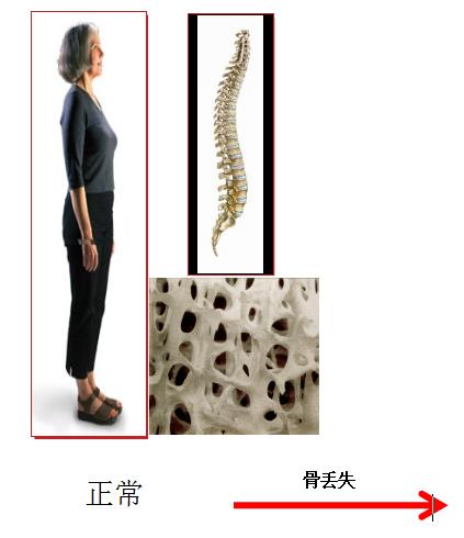 微信截图_20201020092803.png 微信截图_20201020092803.png