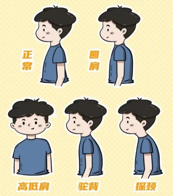 图片1 图片1.png