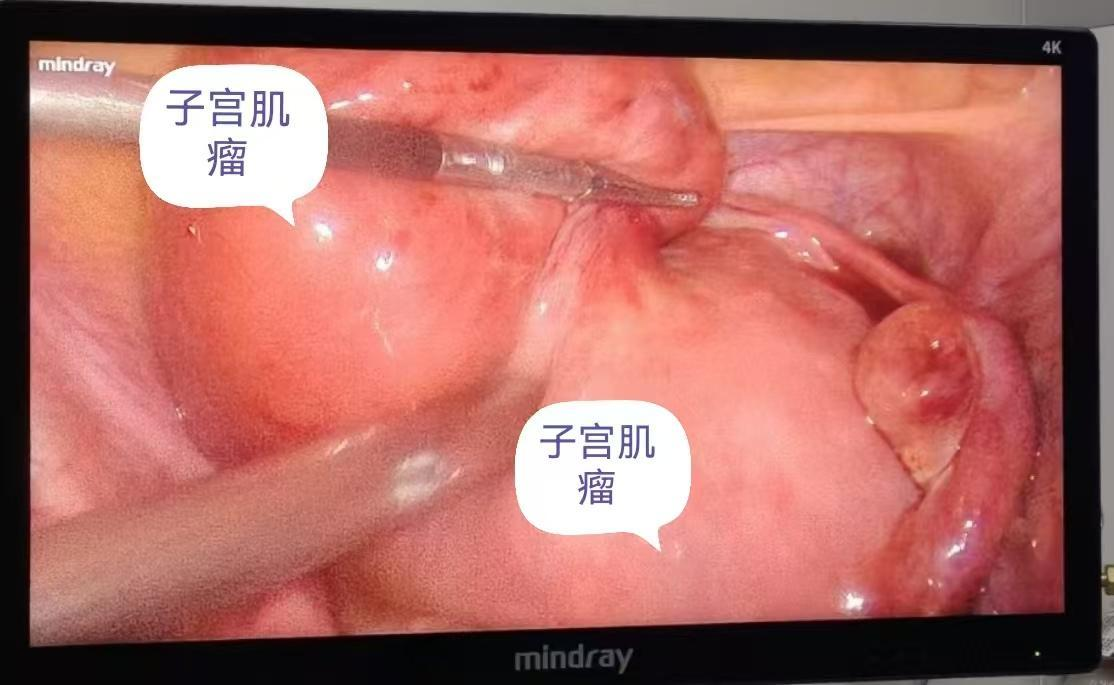 图片 4 图片 4.png