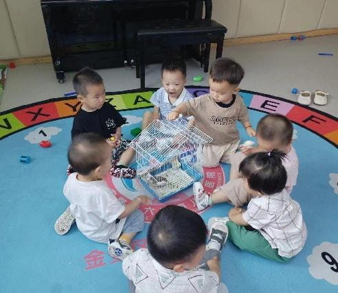 图片 1 图片 1.png