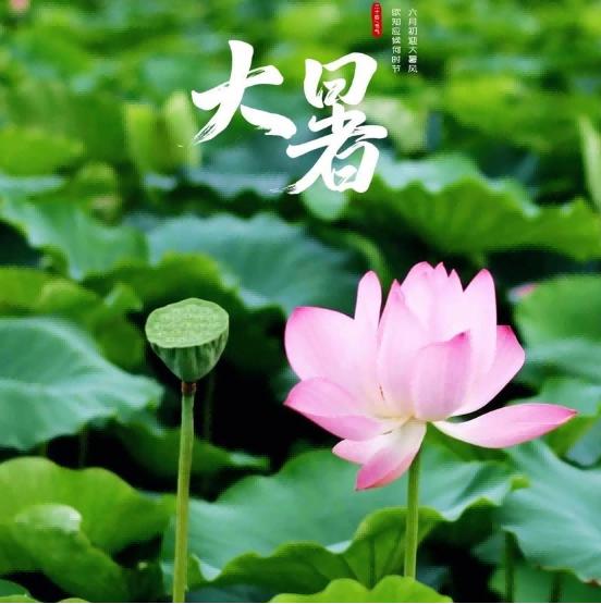 图片 1 图片 1.png