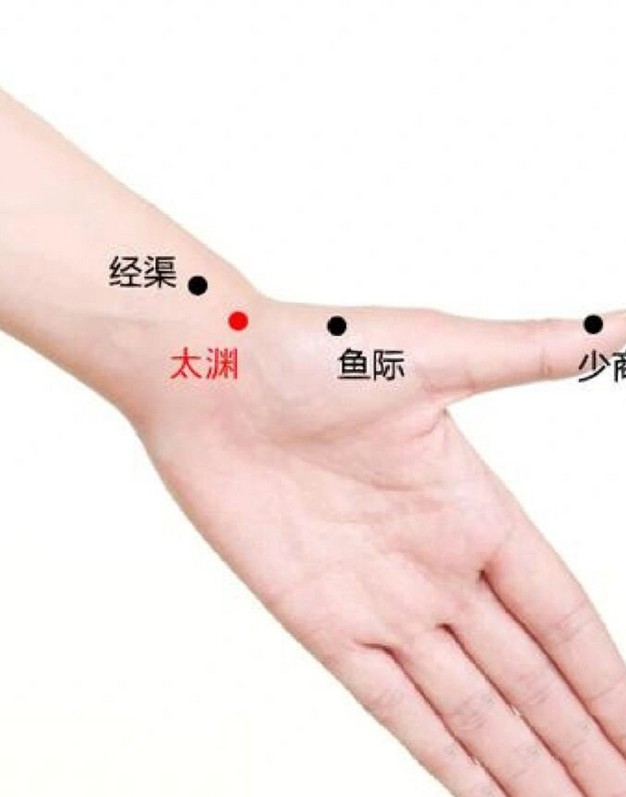 图片 8.png