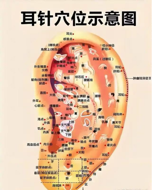 图片 7 图片 7.png