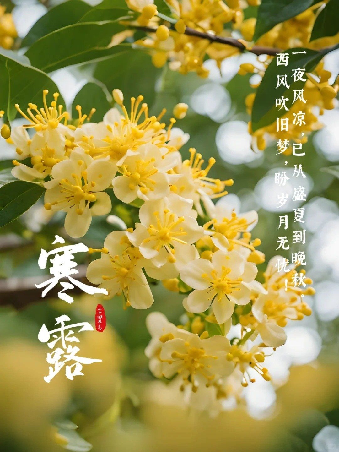 图片 1 图片 1.png