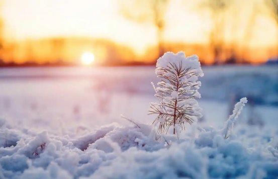 f0b26673606814f96b58e9304ed2d0f0