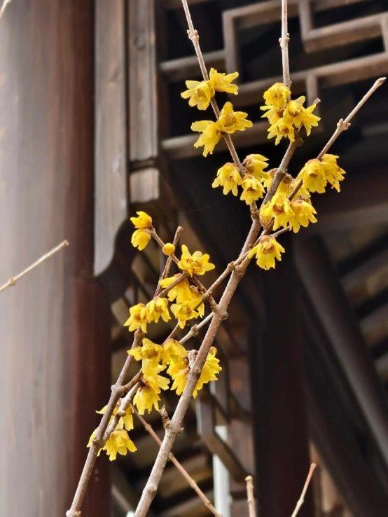 4d27fc1c3f28de769a8e5f29976c7366