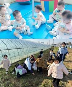 cf3b21ac61c65b530675d25558702959