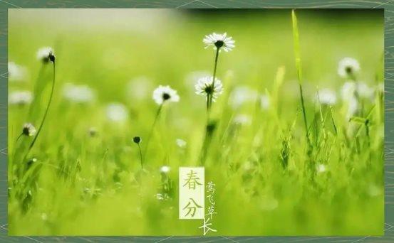 b9c07566c01348b40499aa0fe12a800a