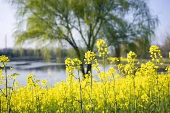 405ff71f60ee86035fc2387d30583bdd