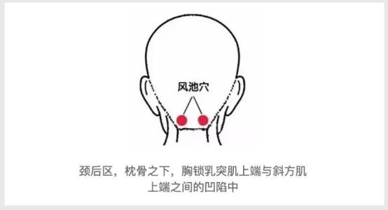 5439c8e63d4aebd0912705fb208ae3a8