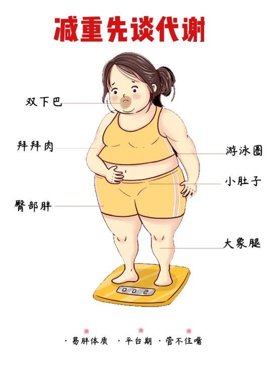 1a8cec5fac145ea4852b16e7dabebd54