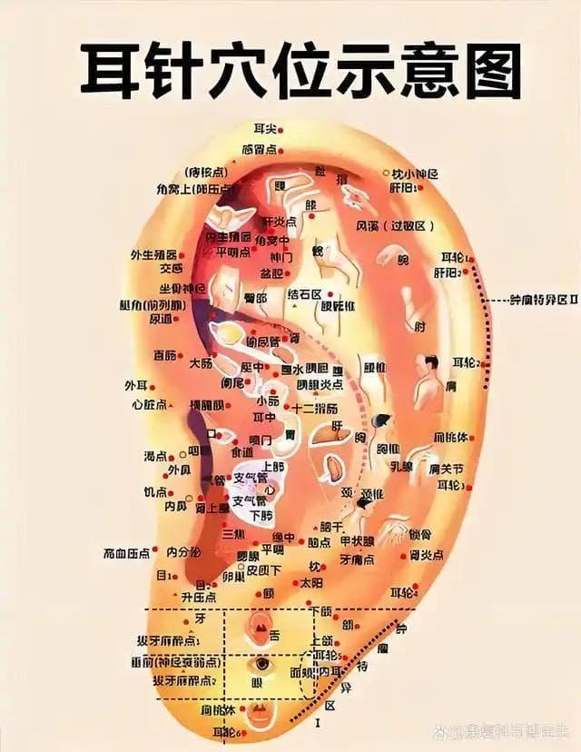 图片 3.png